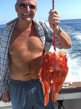 pez escorpión Pesca Deportiva Cavalier & Blue Marlin Gran Canaria
