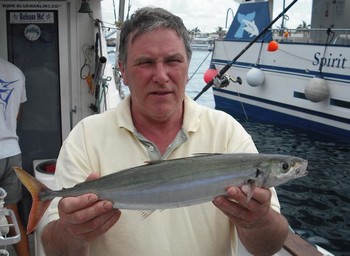 25/03 scad mackerel Cavalier & Blue Marlin Sport Fishing Gran Canaria
