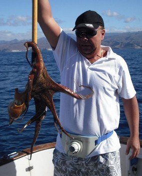 bläckfisk Cavalier & Blue Marlin Sport Fishing Gran Canaria