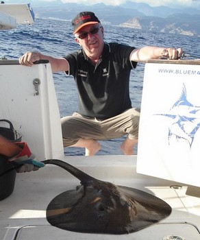 rund stingray Cavalier & Blue Marlin Sport Fishing Gran Canaria