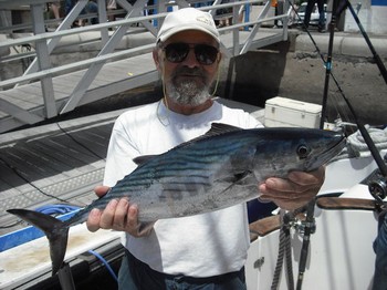 15/04 Atlantic bonito Cavalier & Blue Marlin Sport Fishing Gran Canaria