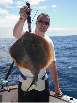 vanlig stingray Cavalier & Blue Marlin Sport Fishing Gran Canaria