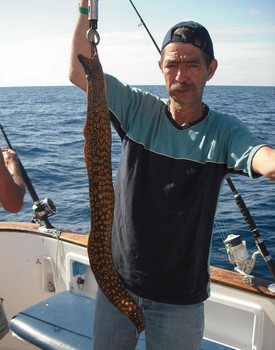 29/04 tiger murene Cavalier & Blue Marlin Sport Fishing Gran Canaria