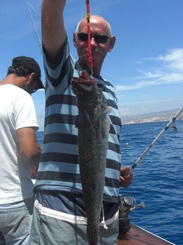 större vem som helst Cavalier & Blue Marlin Sport Fishing Gran Canaria