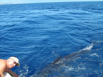please release me Cavalier & Blue Marlin Sport Fishing Gran Canaria