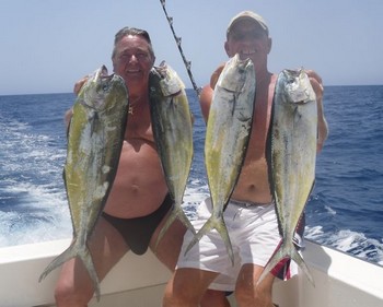 4 dorado's Cavalier & Blue Marlin Sport Fishing Gran Canaria