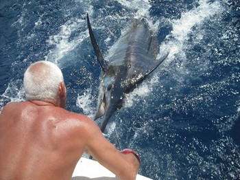release me Cavalier & Blue Marlin Sport Fishing Gran Canaria