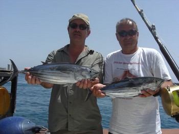 24/08 skipjack tuna Cavalier & Blue Marlin Sport Fishing Gran Canaria