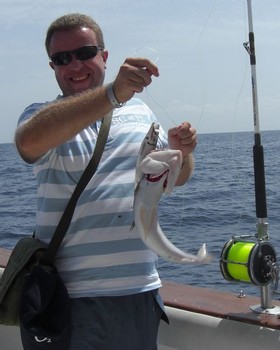 lizard fish Cavalier & Blue Marlin Sport Fishing Gran Canaria