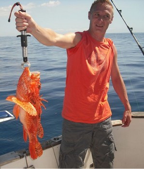scorpion fish Cavalier & Blue Marlin Sport Fishing Gran Canaria