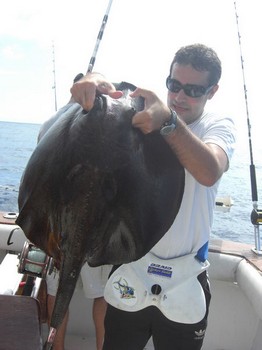 mantarraya Cavalier & Blue Marlin Sport Fishing Gran Canaria