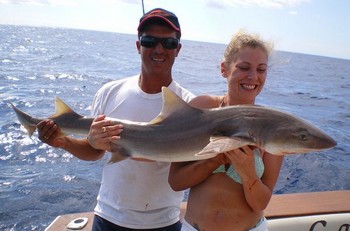 04/11 tope shark Cavalier & Blue Marlin Sport Fishing Gran Canaria