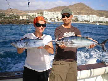 Atlantic bonito Cavalier & Blue Marlin Sport Fishing Gran Canaria