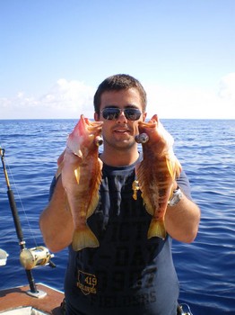 comber fish Cavalier & Blue Marlin Sport Fishing Gran Canaria
