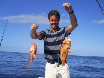 Doradas Pesca Deportiva Cavalier & Blue Marlin Gran Canaria