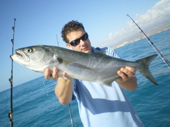 01/01 King fisk Cavalier & Blue Marlin Sport Fishing Gran Canaria