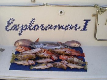 Exploramar Cavalier & Blue Marlin Sportfischen Gran Canaria