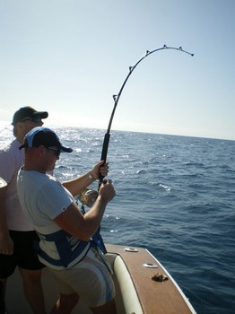 Hooked Up ! ! ! Cavalier & Blue Marlin Sport Fishing Gran Canaria