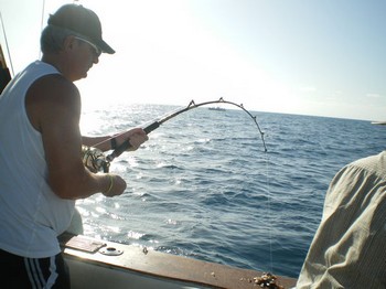 Angeschlossen! ! ! Cavalier & Blue Marlin Sportfischen Gran Canaria