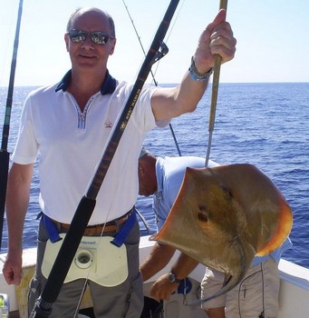 Vanlig stingray Cavalier & Blue Marlin Sport Fishing Gran Canaria