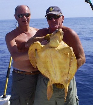 Schildkröte Cavalier & Blue Marlin Sportfischen Gran Canaria