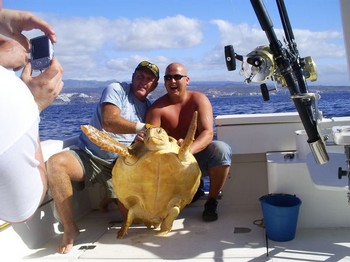 Turtle Cavalier & Blue Marlin Sport Fishing Gran Canaria