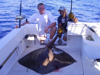 25/01 Common Stingray Cavalier & Blue Marlin Sport Fishing Gran Canaria