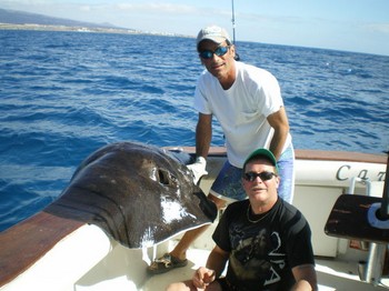 Runder Stachelrochen Cavalier & Blue Marlin Sportfischen Gran Canaria