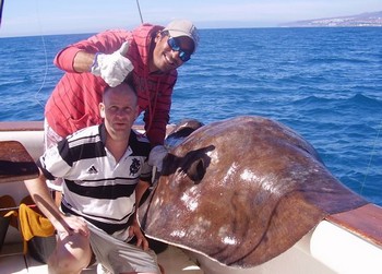 25/02 Common Stingray Cavalier & Blue Marlin Sport Fishing Gran Canaria