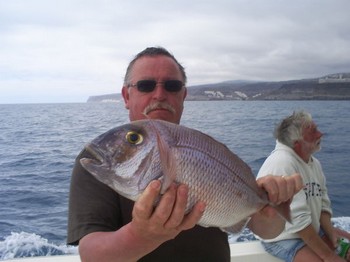 Pargo Cavalier & Blue Marlin Sport Fishing Gran Canaria