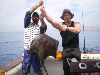 Raya cola rugosa Cavalier & Blue Marlin Sport Fishing Gran Canaria