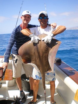 Stingray común Cavalier & Blue Marlin Sport Fishing Gran Canaria