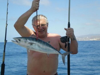 Atlantisk Sierra tonfisk Cavalier & Blue Marlin Sport Fishing Gran Canaria