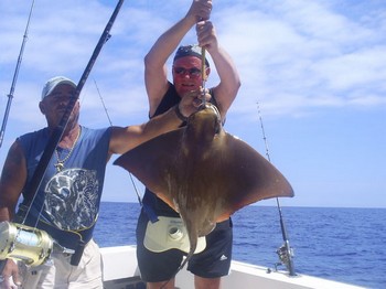 Rayo de águila Cavalier & Blue Marlin Sport Fishing Gran Canaria