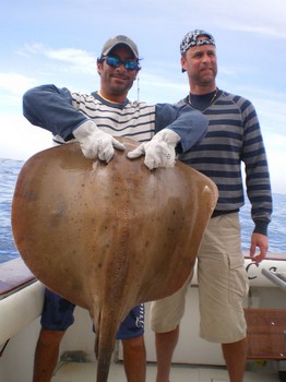 09/04 Common Stingray Cavalier & Blue Marlin Sport Fishing Gran Canaria