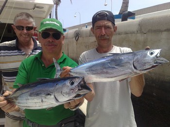 21/05 Skipjack Tuna Cavalier & Blue Marlin Sport Fishing Gran Canaria