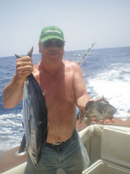 Skipjack Thunfisch Cavalier & Blue Marlin Sport Fishing Gran Canaria