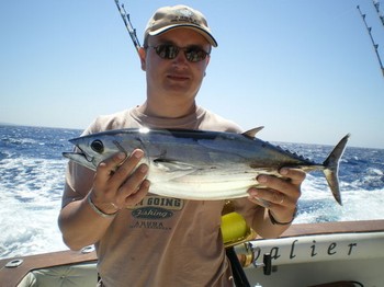 Atún barrilete Cavalier & Blue Marlin Sport Fishing Gran Canaria