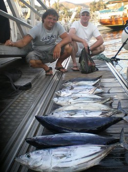 18/08 Skipjack Tunas Cavalier & Blue Marlin Sport Fishing Gran Canaria