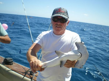 baby hammerhead Cavalier & Blue Marlin Sport Fishing Gran Canaria
