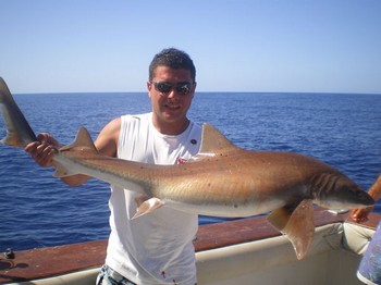 Tope Cavalier & Blue Marlin Sport Fishing Gran Canaria
