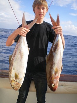 2 Amberjacks Cavalier & Blue Marlin Sport Fishing Gran Canaria