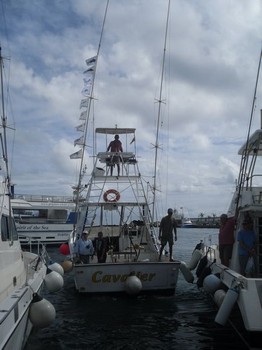 The Cavalier Cavalier & Blue Marlin Sport Fishing Gran Canaria