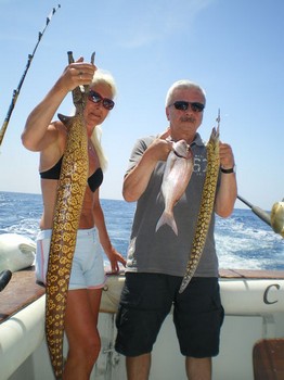 Tiger Moray Cavalier & Blue Marlin Sport Fishing Gran Canaria