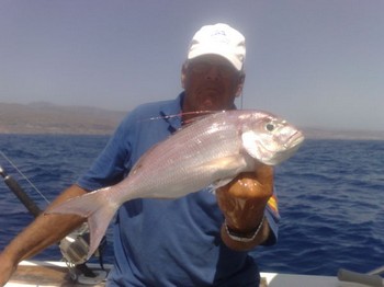 Sama Pluma Cavalier & Blue Marlin Sport Fishing Gran Canaria
