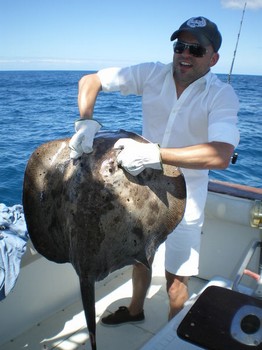 25/04 Roughtail Stingray Cavalier & Blue Marlin Sport Fishing Gran Canaria