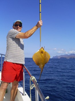 Gemeiner Stachelrochen Cavalier & Blue Marlin Sportfischen Gran Canaria
