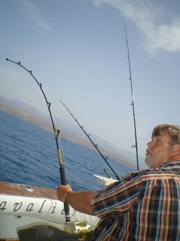 anschließen Cavalier & Blue Marlin Sportfischen Gran Canaria