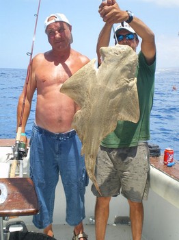 Angelshark Cavalier & Blue Marlin Sport Fishing Gran Canaria