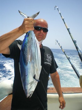 Skipjack tonfisk Cavalier & Blue Marlin Sport Fishing Gran Canaria